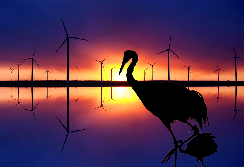 5���ߵ�������-�� ����.jpg