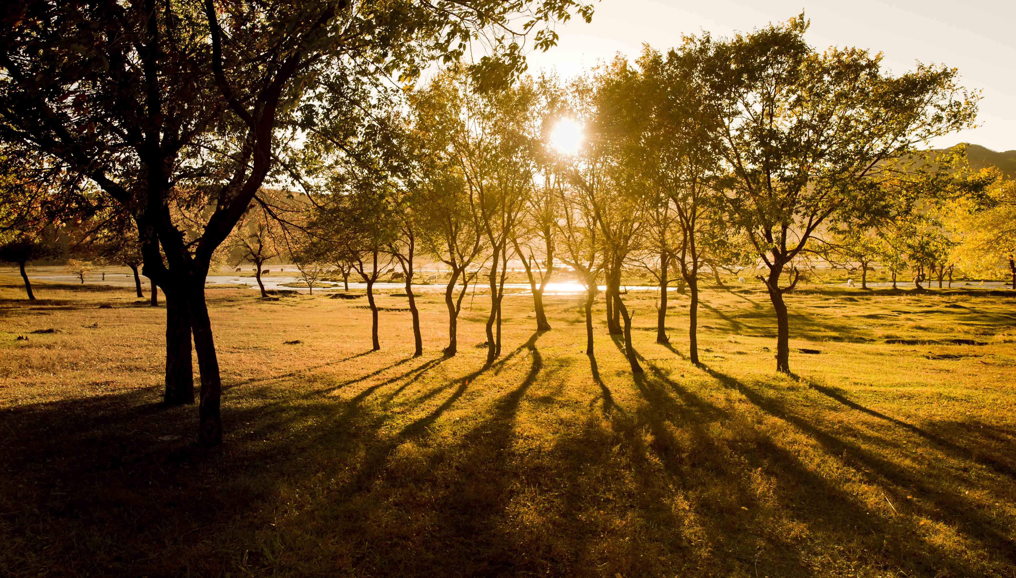 DSC_5716 ����.JPG