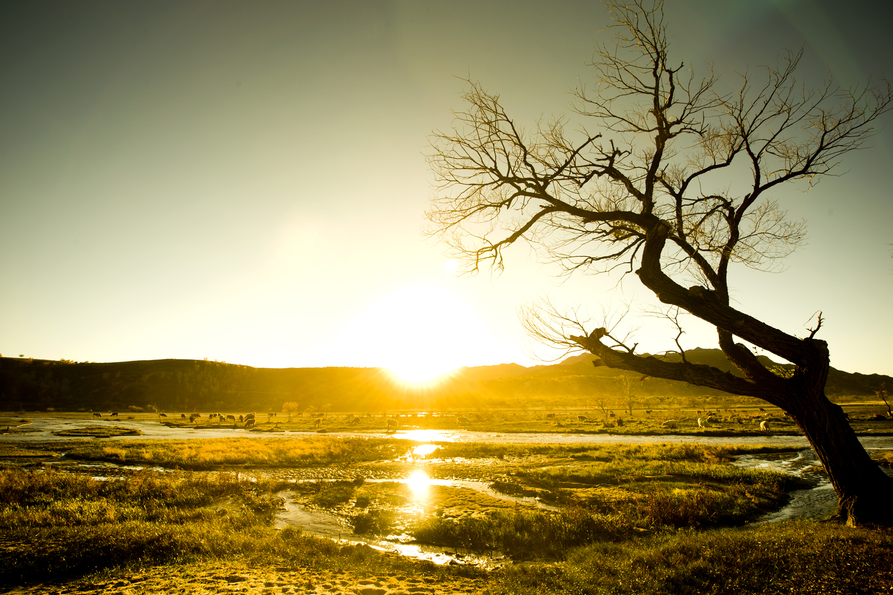 DSC_5729 ��������.jpg