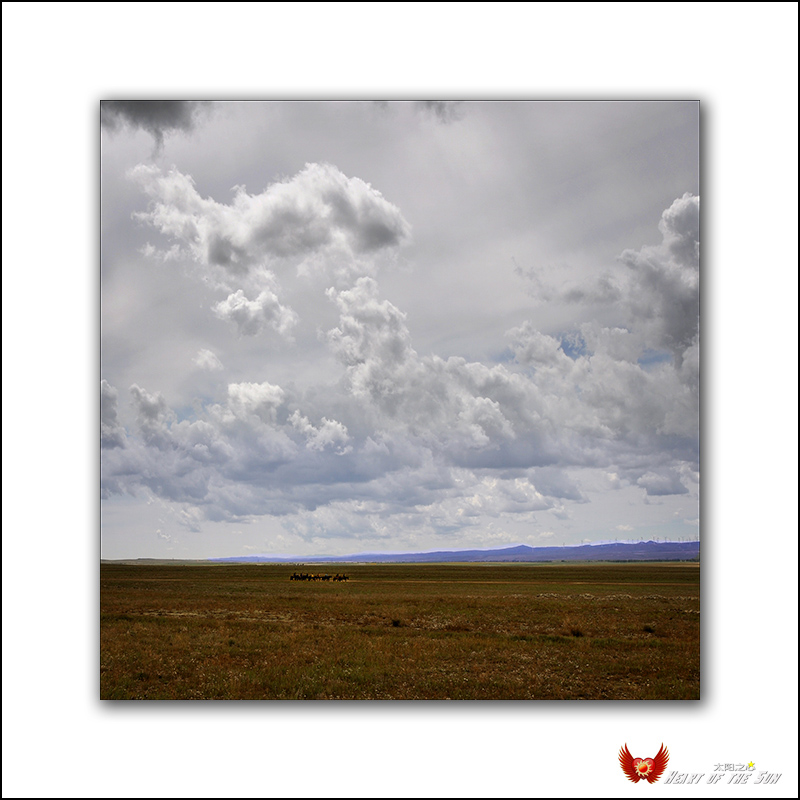 �տ�����