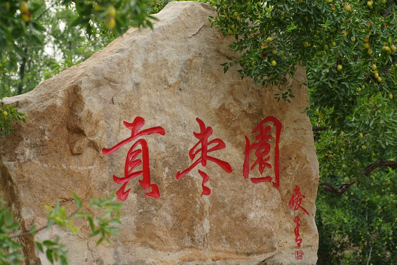 ժһ�ţ�ҧһ�ڣ����ִࡣ