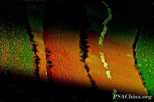 05.��Ծ��Ʒ���������ں������ϡ�Cultivated in the red earth.jpg