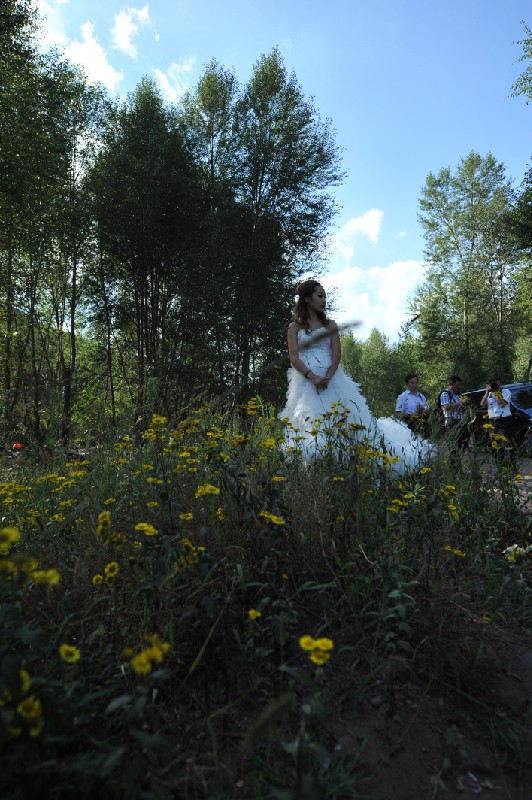 ����Ҳ����