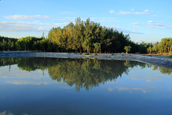 2013��9.8���ģ���г��Ȼ