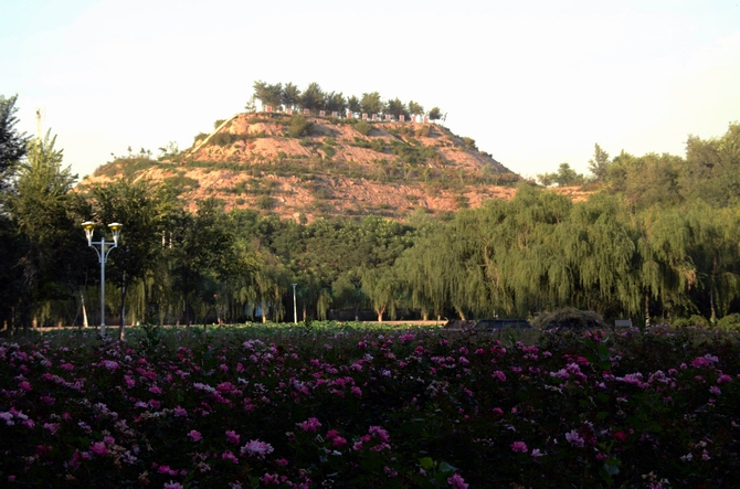 �������乫԰--����