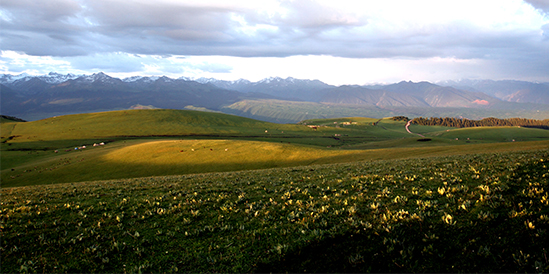 ��������