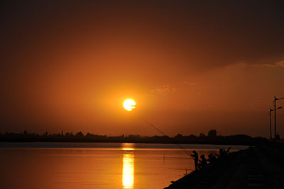 Ϧ������