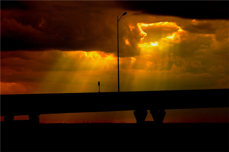 ����ϼ��������