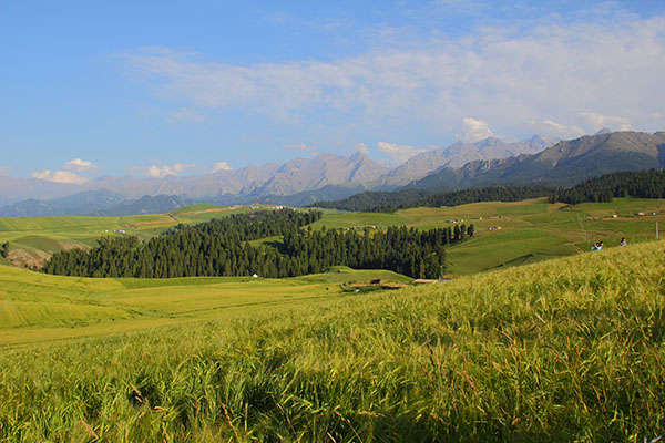 ��������������