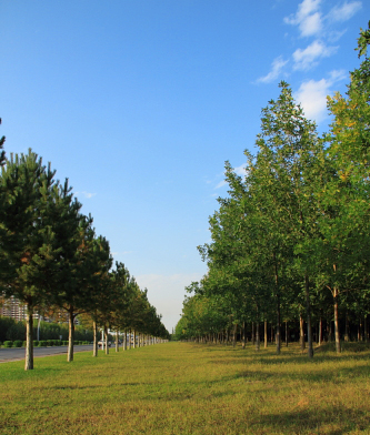 ���������õط�