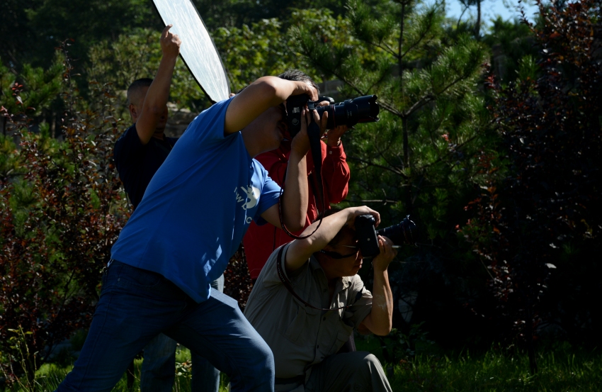 ��Ƭ 144_conew1.jpg