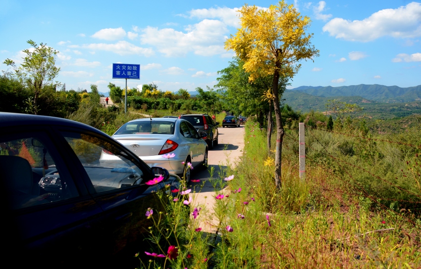 ��Ƭ 207_conew1.jpg