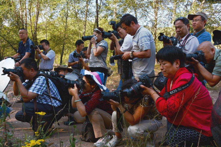 ��Ƭ 363_conew1.jpg