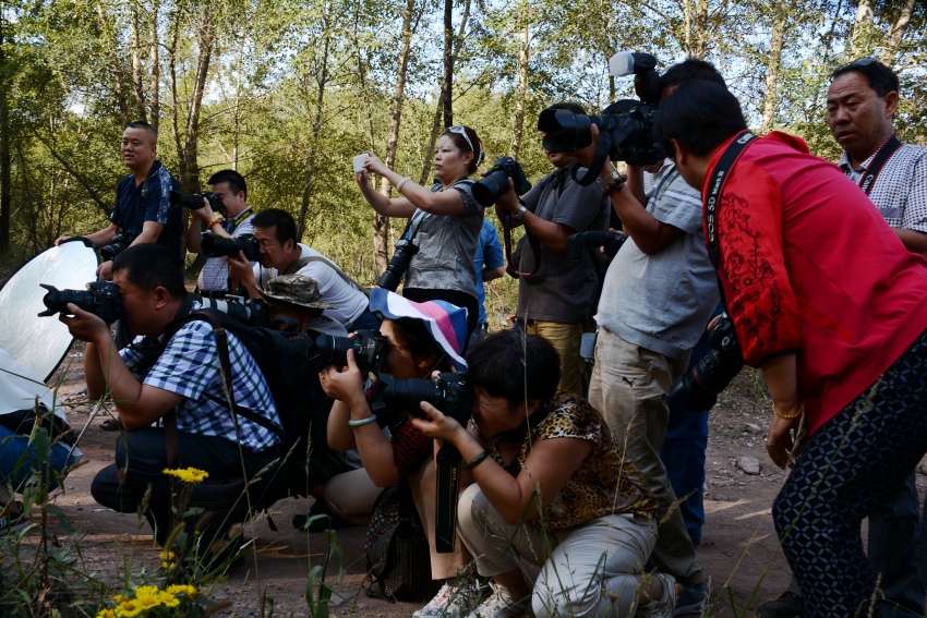 ��Ƭ 365_conew1.jpg