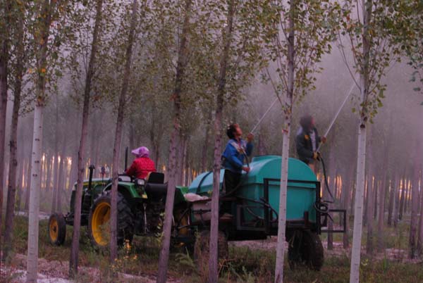 ��Ƭ ��ǿ00_����.jpg