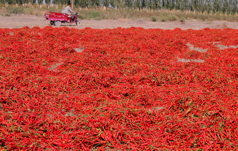 ��Ƭ 270_xiu����.jpg