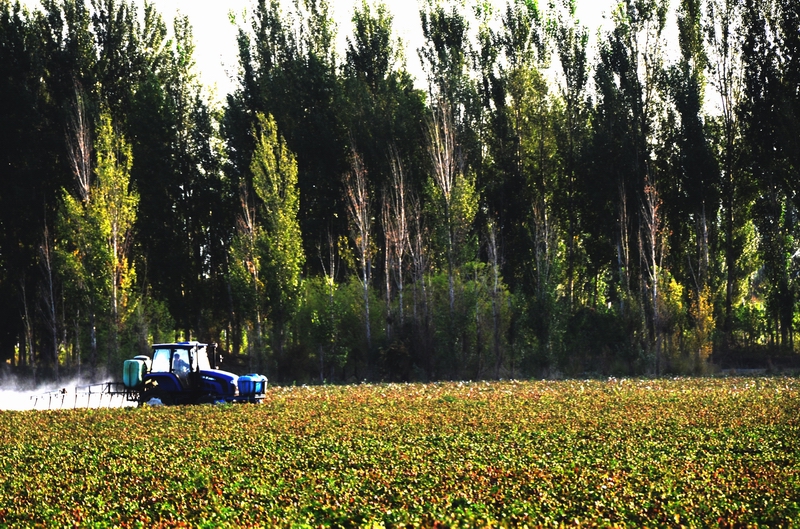 ũ������