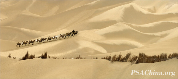 10.������Ʒ����ɳ��֮����Desert Territory No.2.jpg