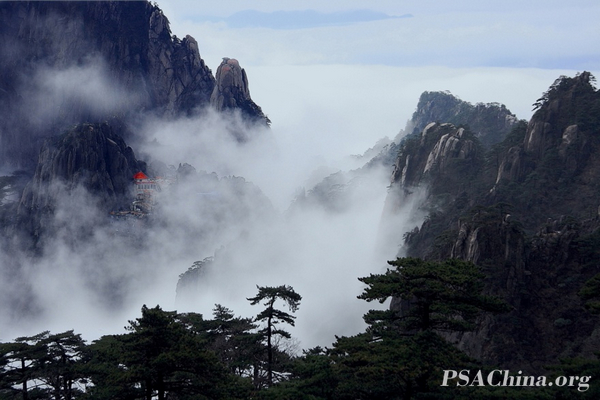 03.������Ʒ����������������ɡ�Live in the Dreamland.jpg