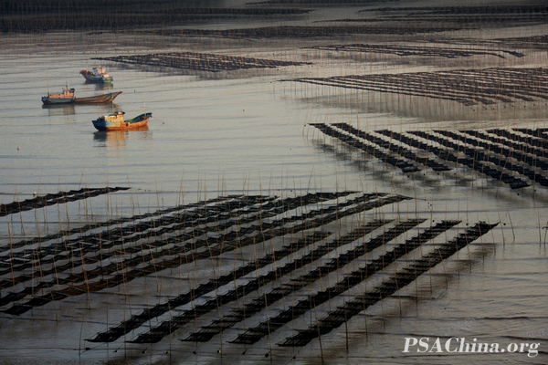 09.������Ʒ����̲Ϳ����(��)��Tideland Sunset.jpg