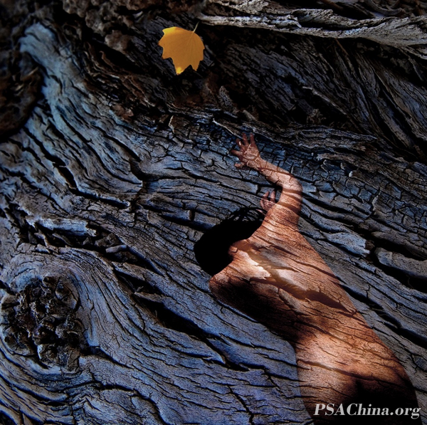 03.���з���Ʒ����������Eager to.jpg