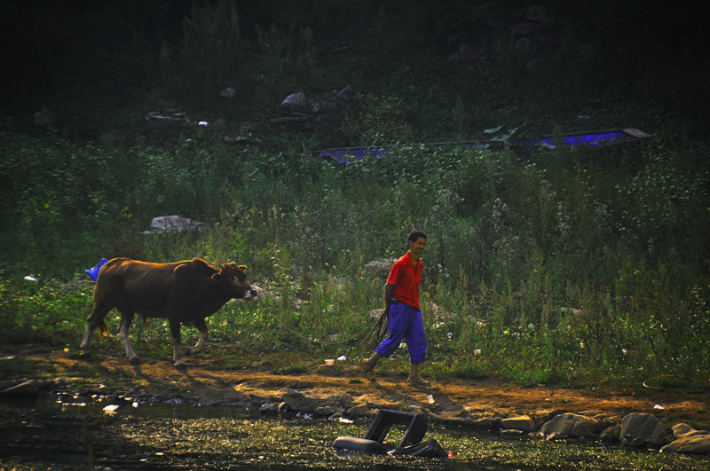 �ٻ�������