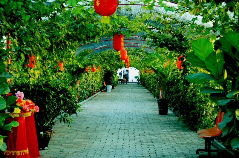 ʯ����ũ����