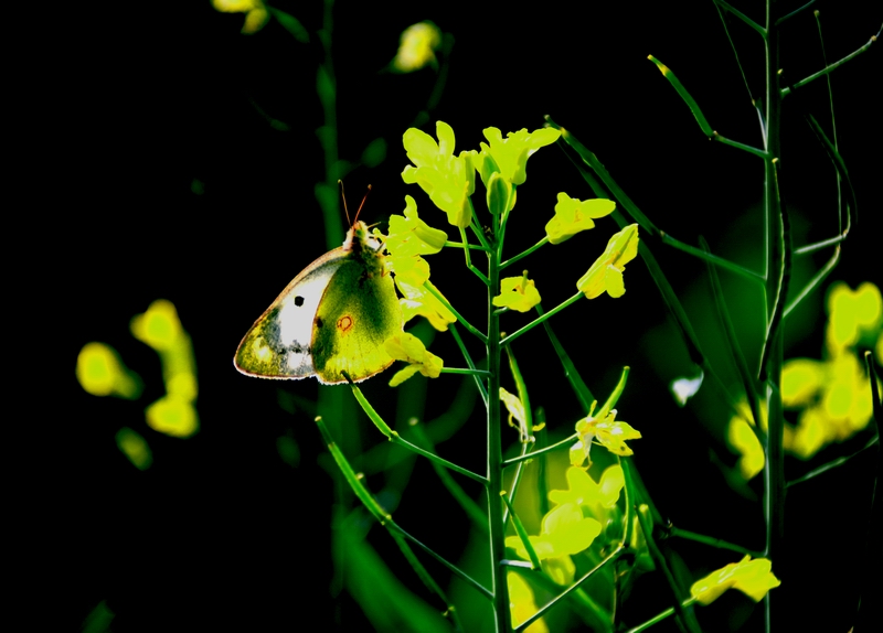 �ͻ�������