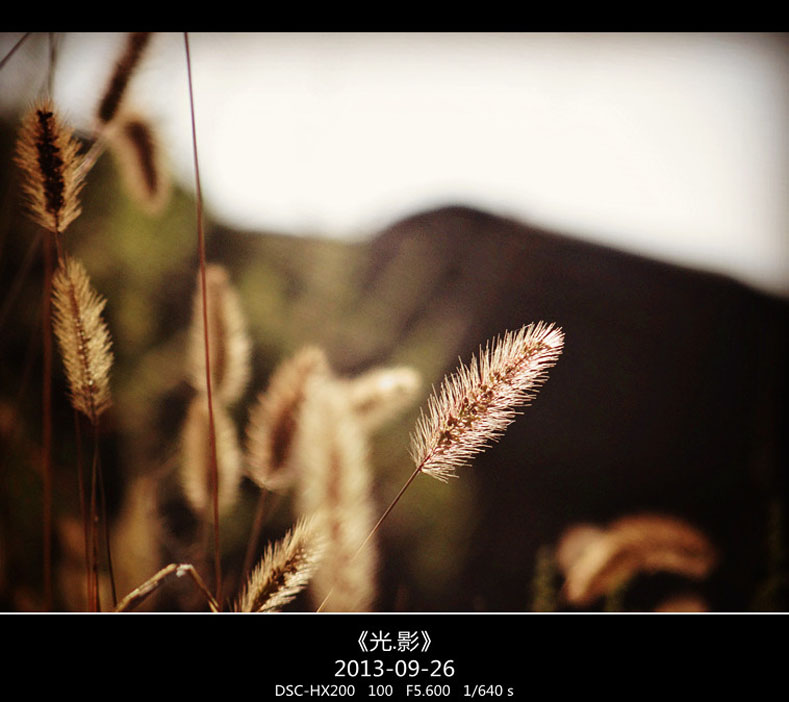 DSC02742_���� ����.jpg