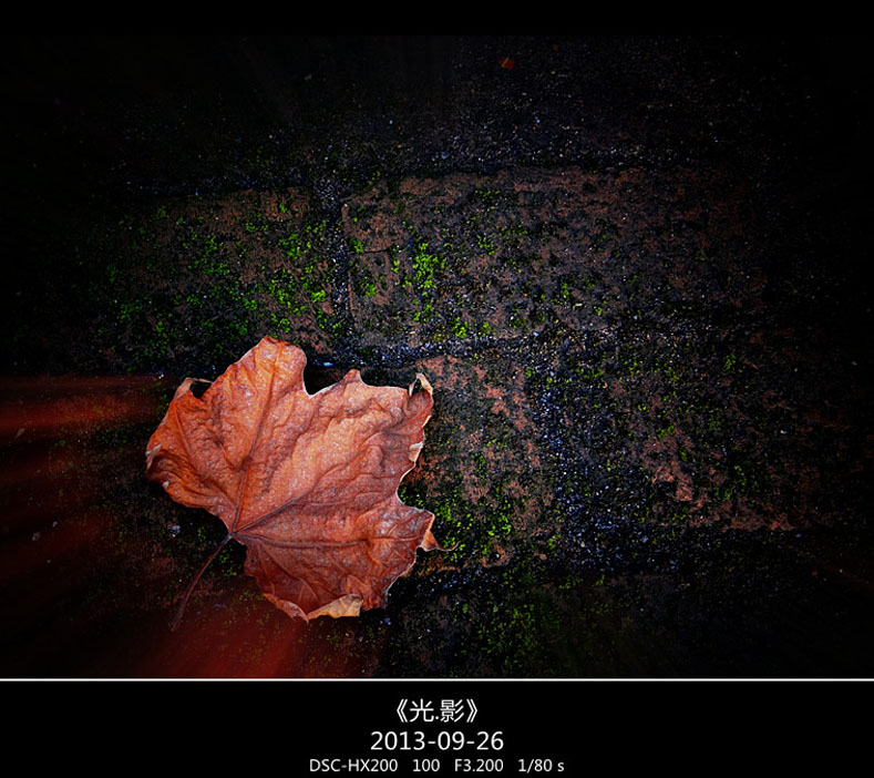 DSC02753_���� ����.jpg