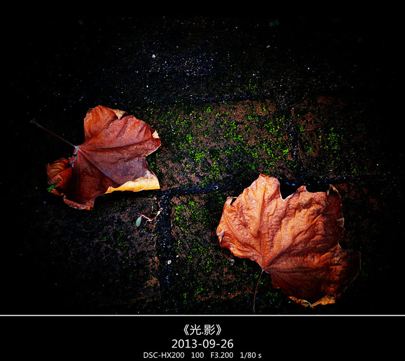 DSC02754_���� ����.jpg