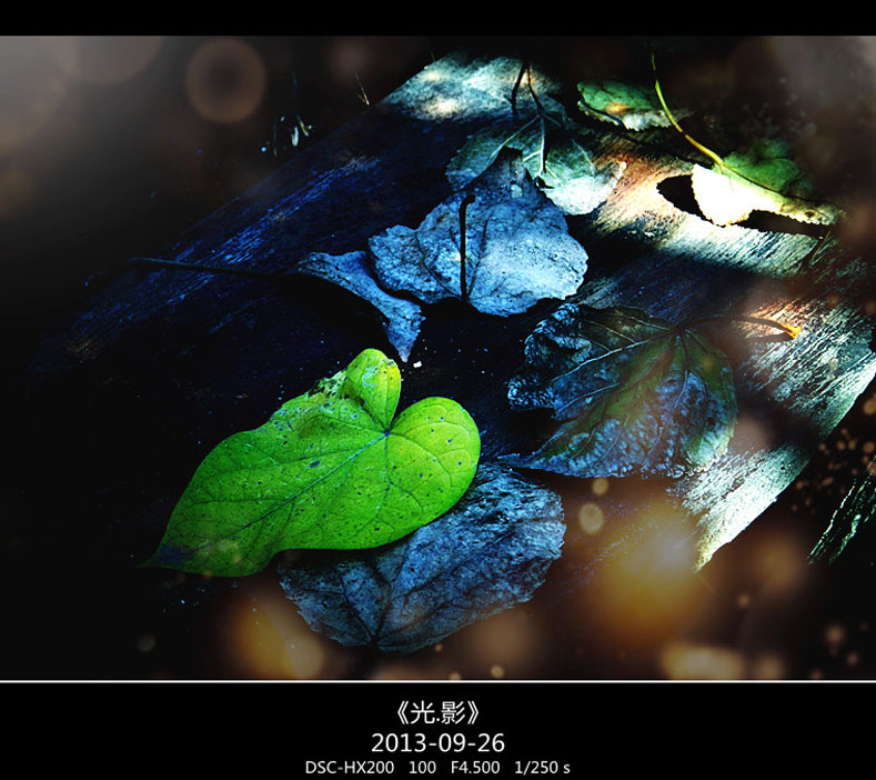 DSC02760_���� ����.jpg