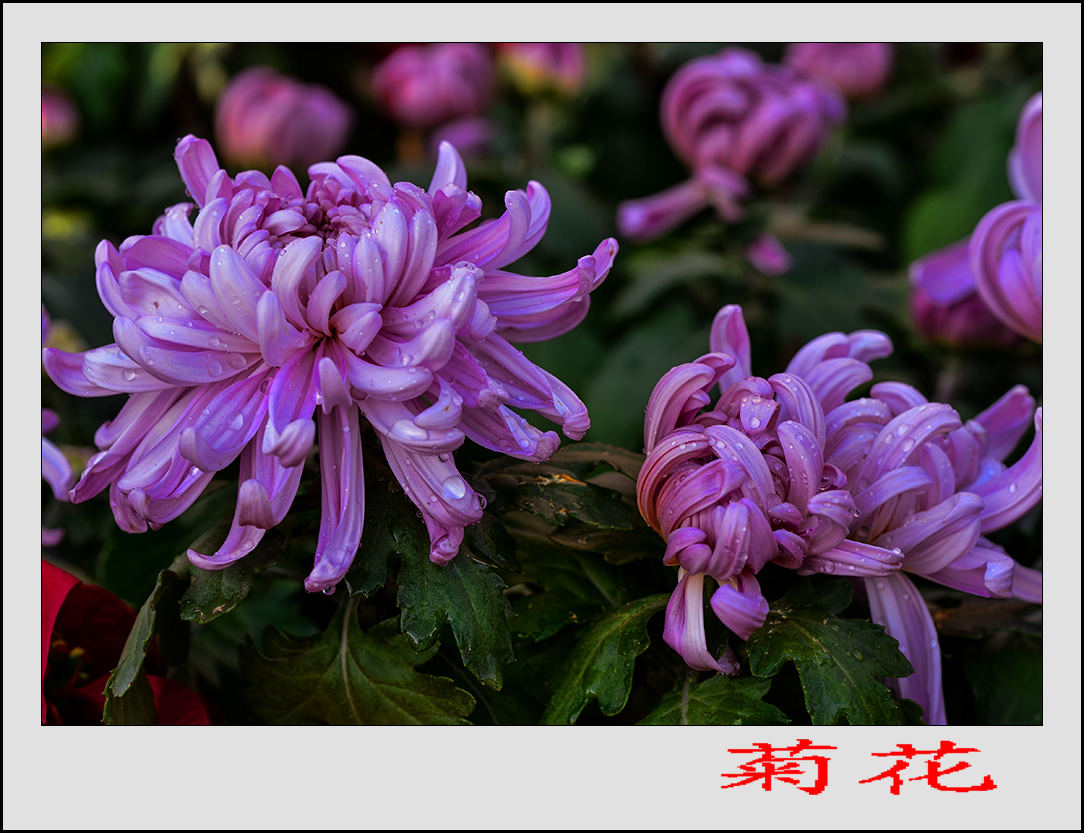 2013��9��24�վջ� 1.jpg