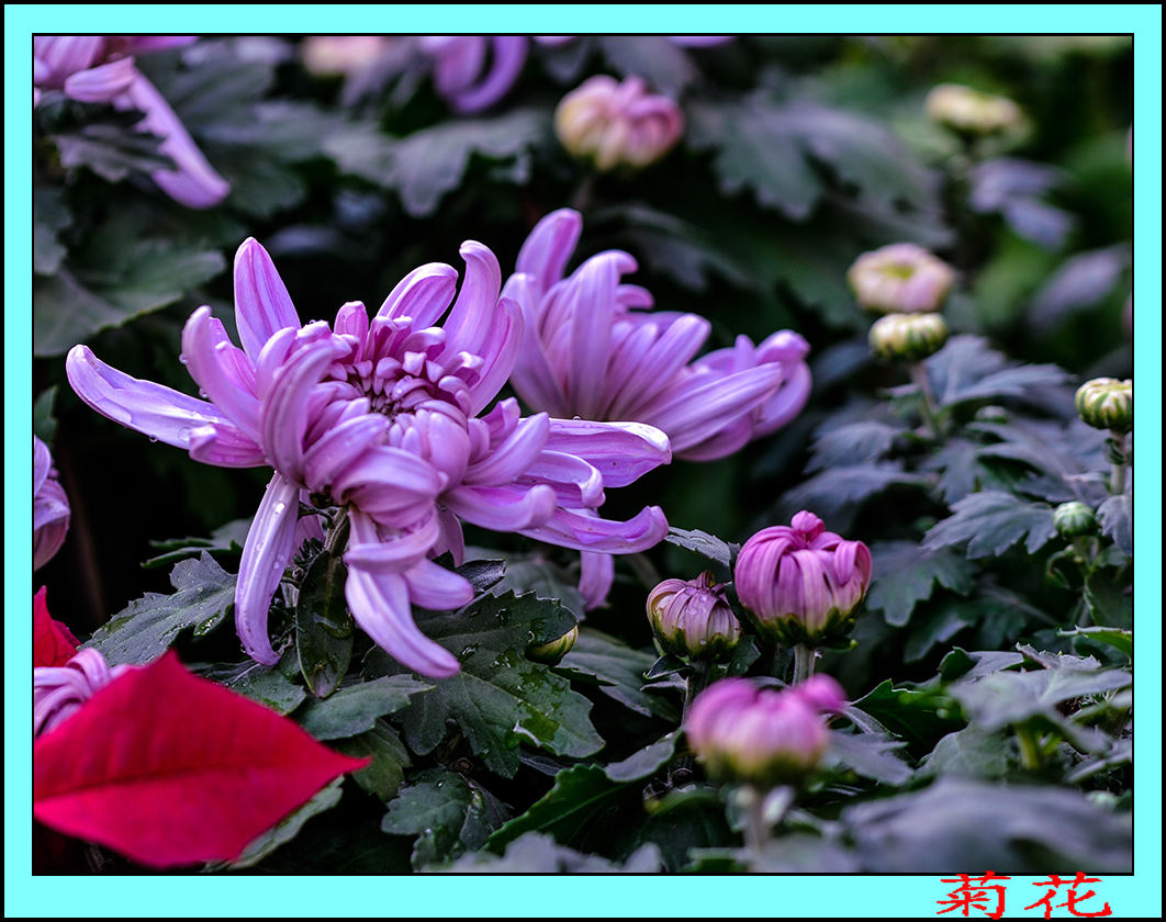 2013��9��24�վջ� 2.jpg