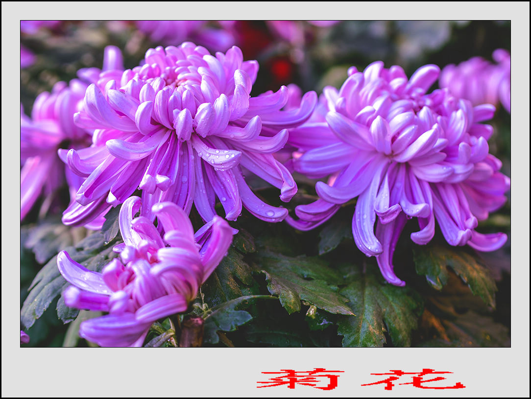 2013��9��24�վջ� 3.jpg