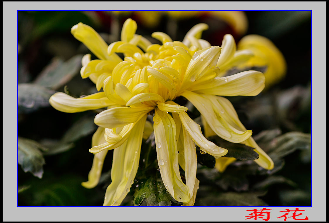 2013��9��24�վջ� 4.jpg