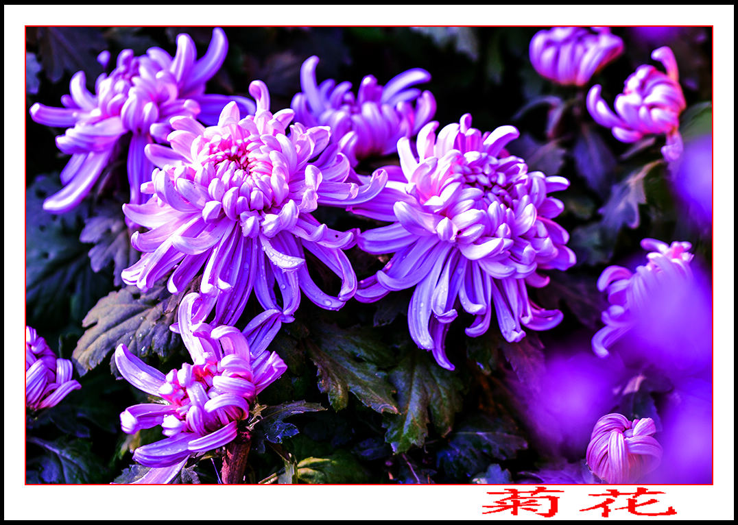 2013��9��24�վջ� 5.jpg