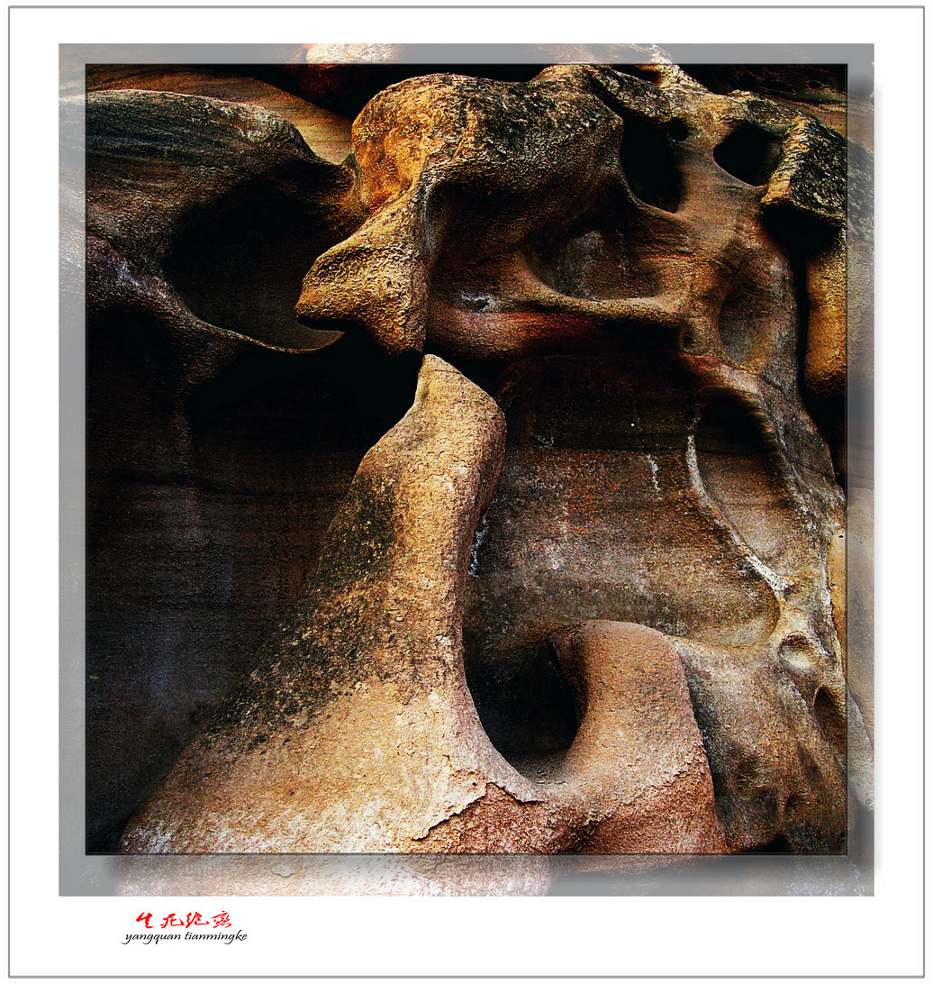 ��������