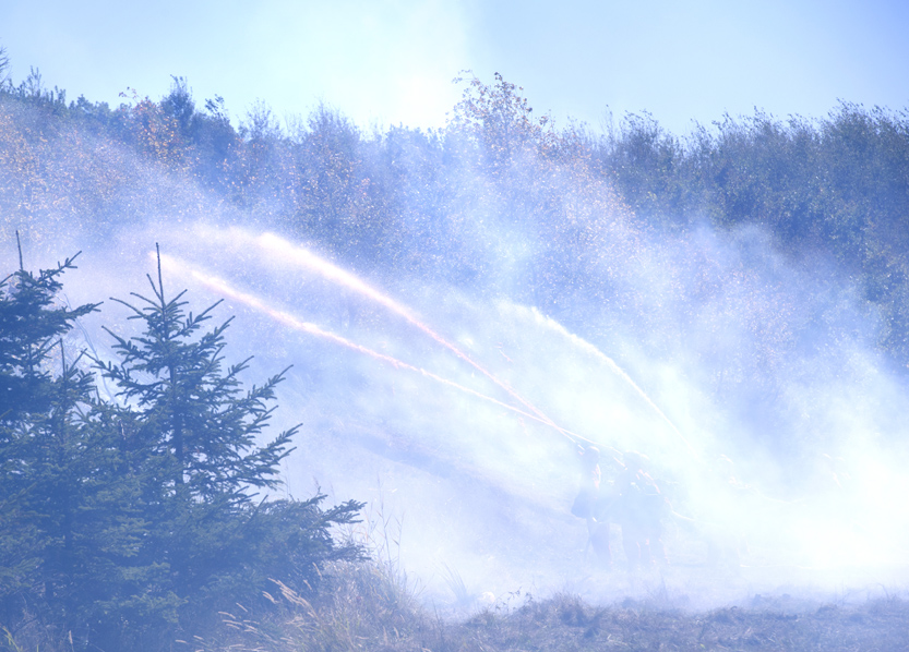 ������Ա�ֽ����