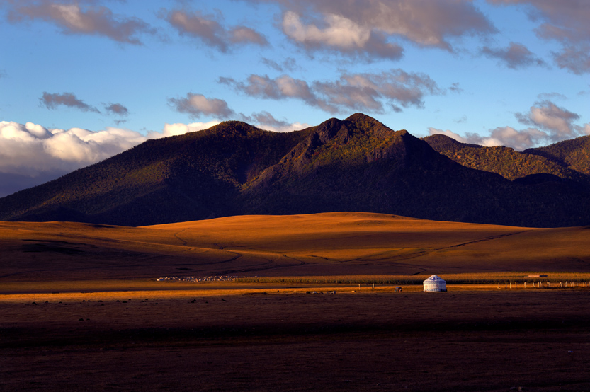 _LFD2732 ��ɫ���� ����.jpg