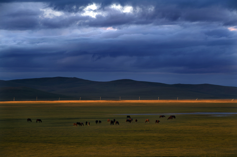 _LFD2874  ��ߵ���ҥ4 ����.jpg