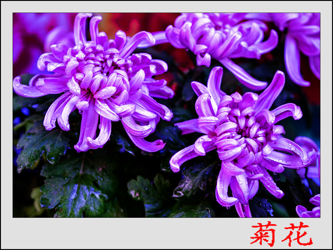 2013��9��24�վջ� 8.jpg