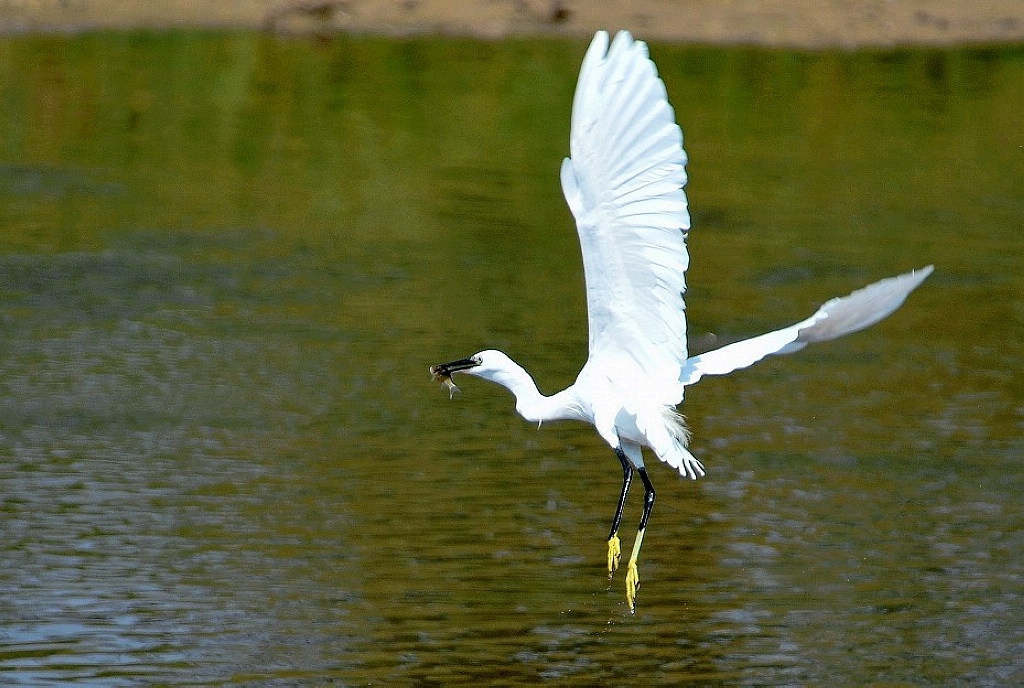 2013����̳�����������ȡ����С���׽������  .jpg