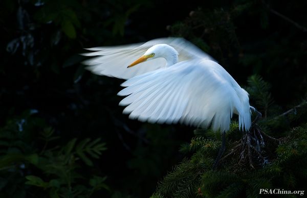 04.��ѧ����Ʒ�����趯�� FLAP.jpg