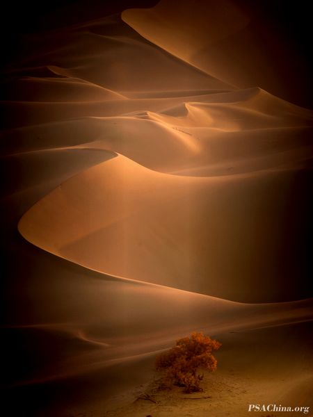07.��Ծ��Ʒ����ɳĮ���ա�Desert sunset.jpg