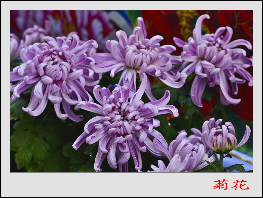 2013��9��27�վջ���Ƭ 1.jpg