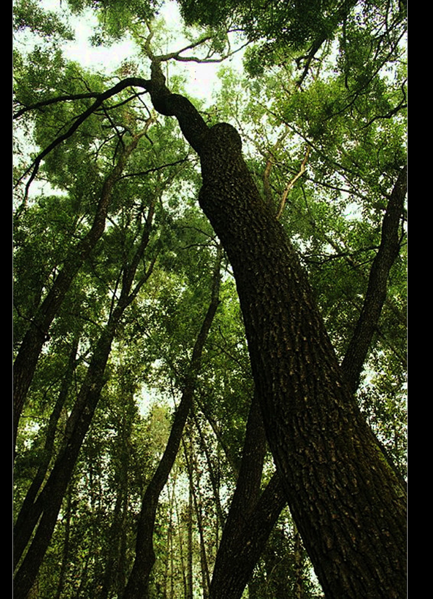 psb (5)_����.jpg