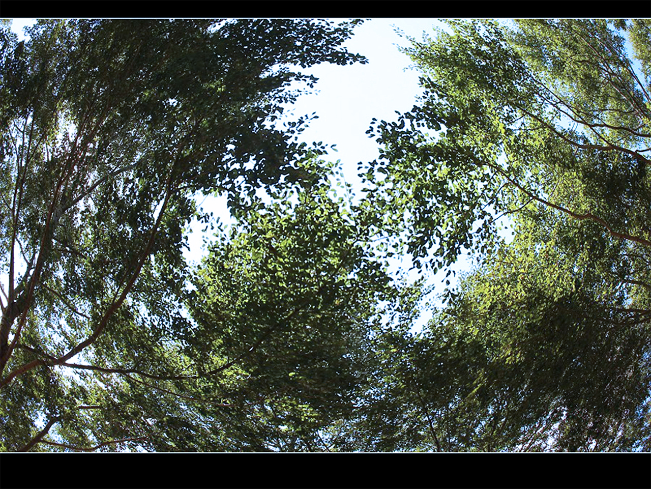 psb (6)_����.jpg