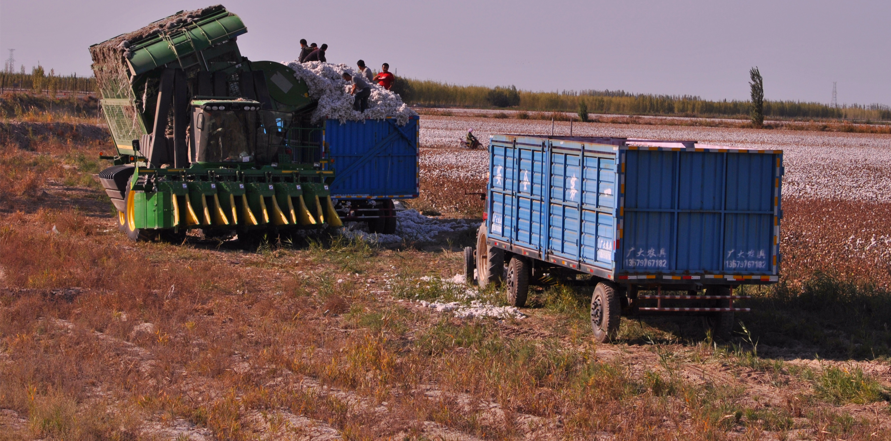 �޻� 001_����.jpg