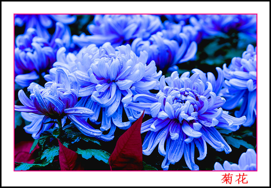 2013��9��30�վջ�2�� 10066.jpg